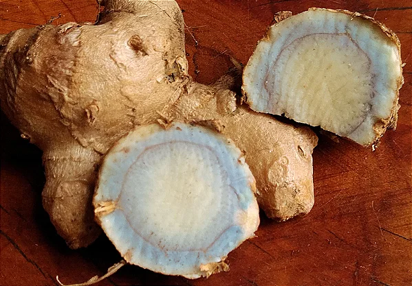 Guia Completo do Suco Detox: Como Preparar, Benefícios, Receitas e Segurança para Iniciantes