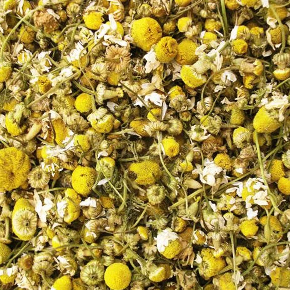 Chá Detox Noturno: 6 Receitas Calmantes para Desintoxicar e Renovar a Pele Enquanto Dorme