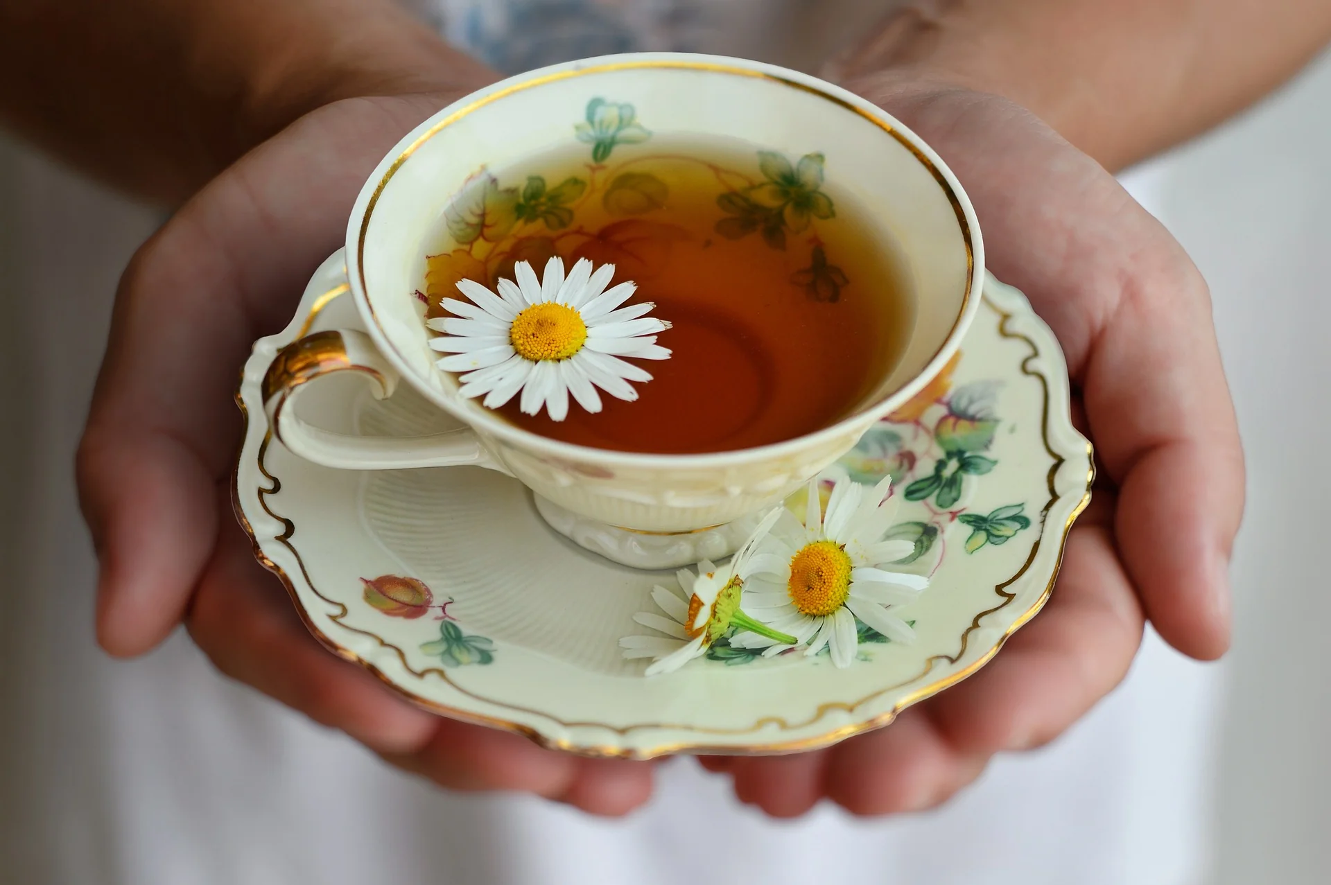 Chá de Camomila para Dormir: Receita Tradicional e Ritual de Relaxamento para Noites Tranquilas