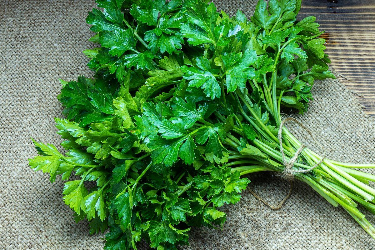 Entenda a Variação do Efeito Detox: Genética, Estilo de Vida e Receita de Chá de Salsa