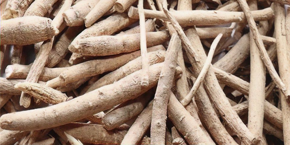 Raiz de Ashwagandha: Como essa Planta Detox controla o cortisol, reduz o estresse e ajuda a diminuir a barriga