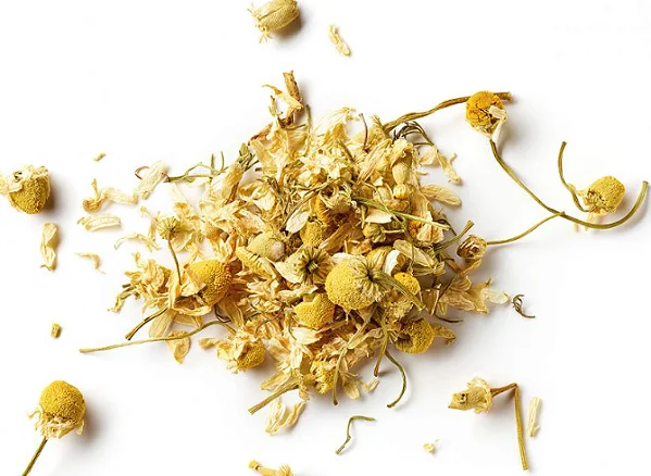 Receitas chá detox: 10 receitas práticas para energia, relaxamento, desinchar e verão