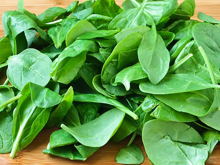 Cansado do Amargor? Descubra 5 Receitas de Suco Verde Que Você Vai Amar!