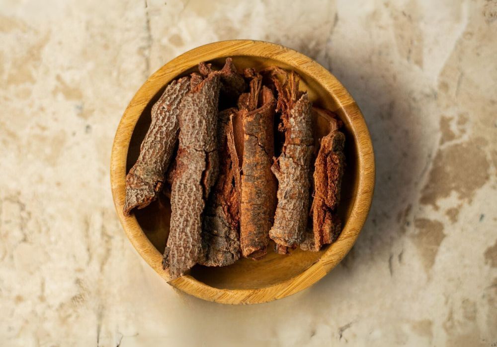 Chá Detox de Jatobá: receita tradicional de casca para limpeza natural — como preparar, benefícios e cuidados