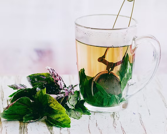 Manjericão em infusão detox caseira: receita simples, benefícios e como usar na sua rotina de bem‑estar