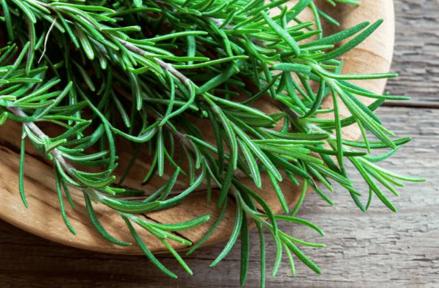 Como usar alecrim na comida do dia a dia: 9 formas simples para transformar pratos com essa planta detox