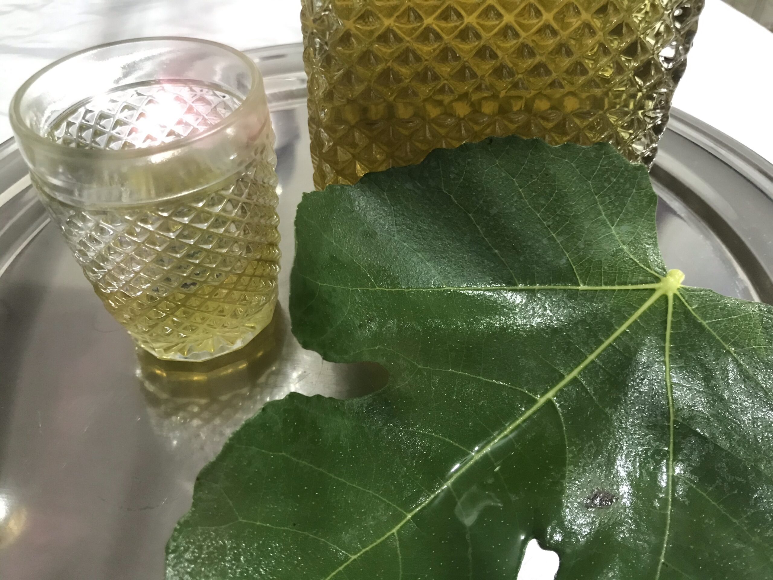 Receita detox com folha de figueira: chá simples, morno e passo a passo para aproveitar no dia a dia