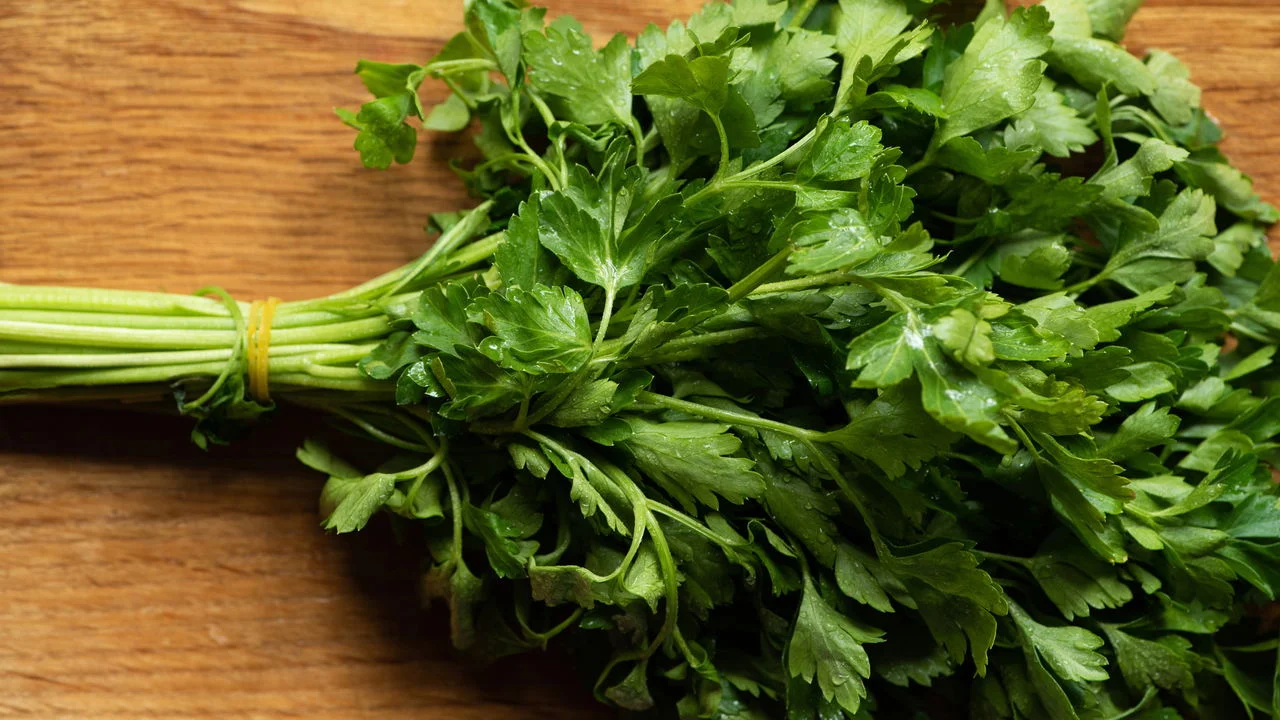 Salsa fresca: 12 benefícios para a saúde e como usar essa planta detox no dia a dia (receitas rápidas)