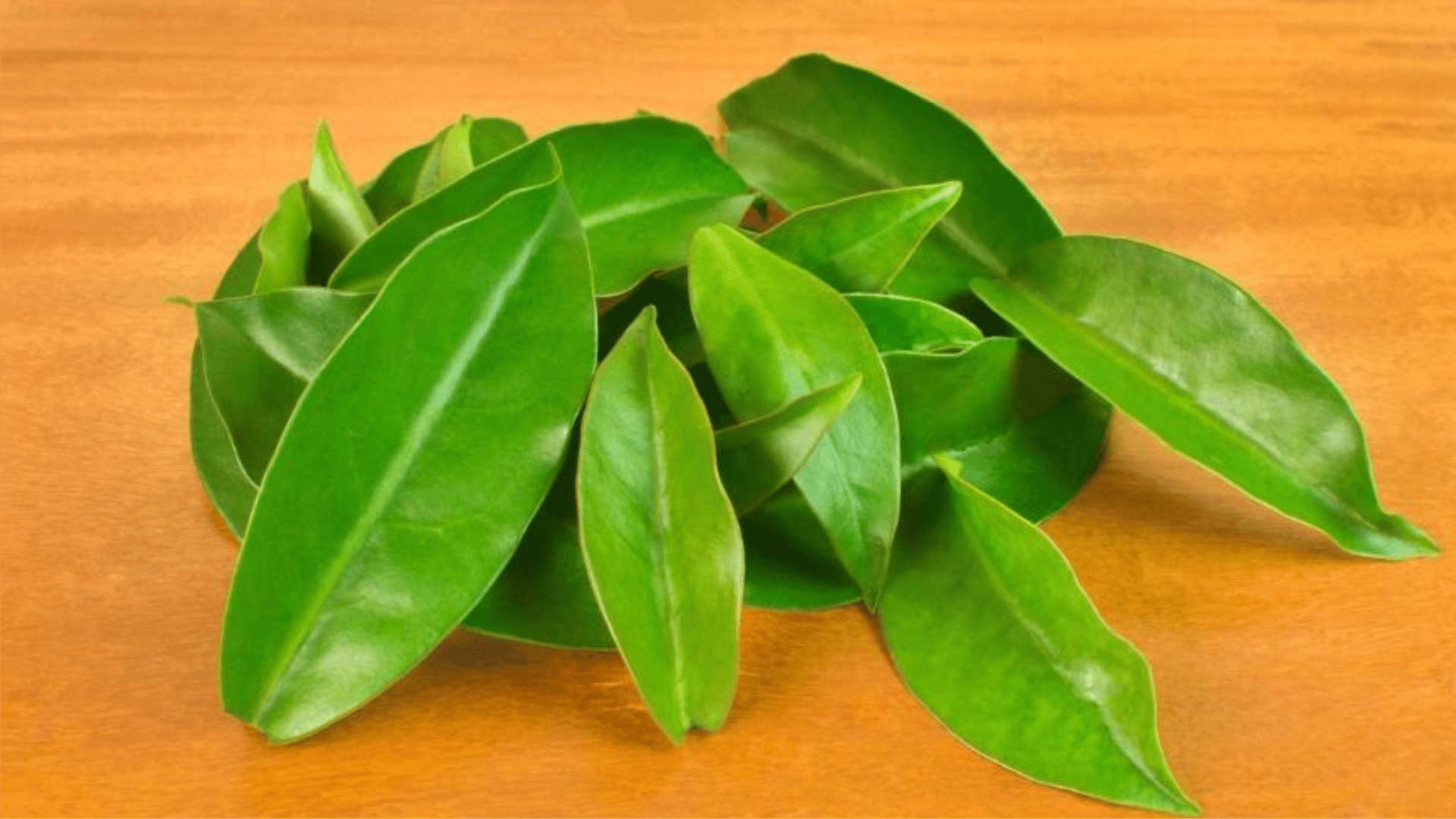 ora-pro-nobis-receita-detox-natural