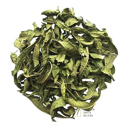 Verbena: O Segredo do Chá Caseiro que Limpa o Intestino e Ajuda a Emagrecer. Veja a Receita!