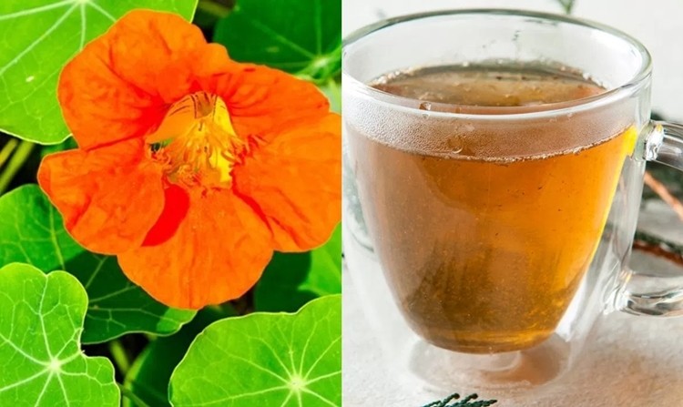 cha-capuchinha-caseiro-receita-desintoxicacao