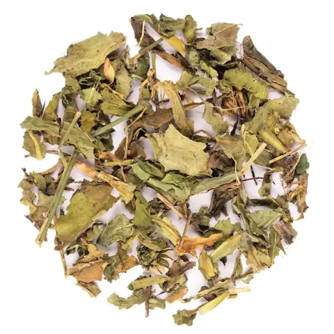 cha-dente-leao-caseiro-receita-beneficios