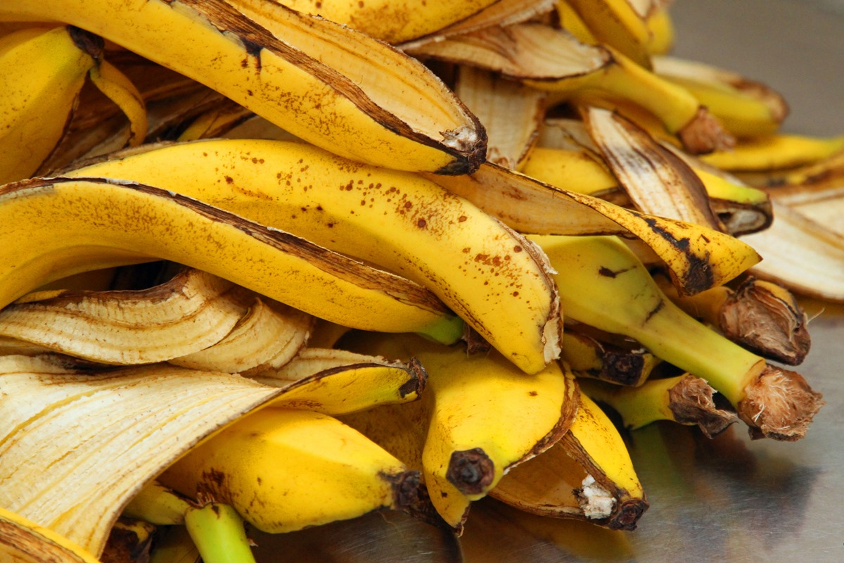 casca de banana