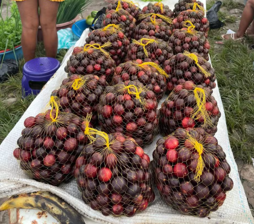 camu-camu em polpa