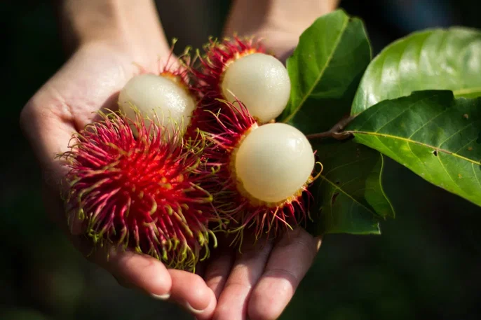 Água detox de rambutan