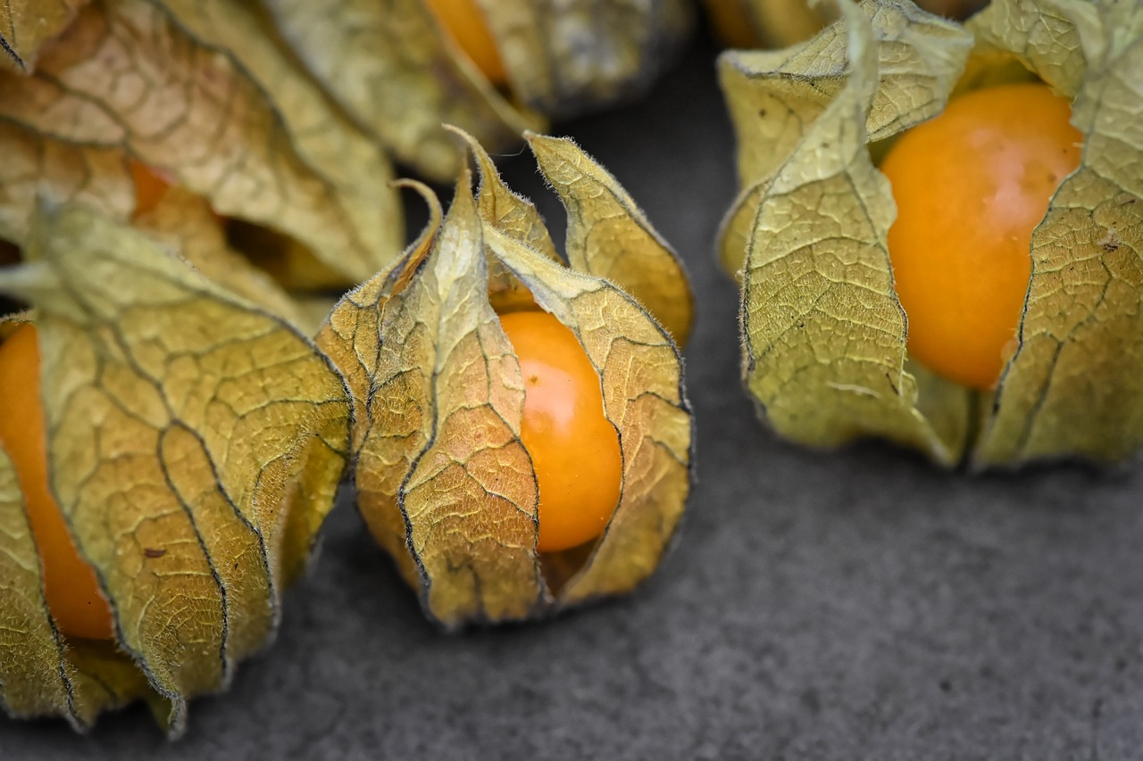 Água detox de physalis