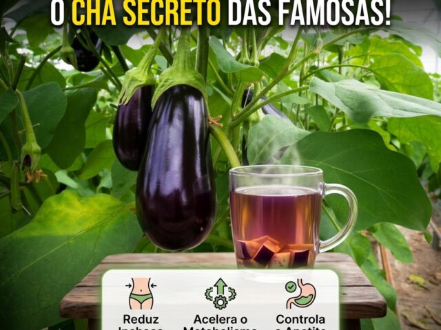 Receita com Berinjela: baixa colesterol e seca barriga